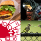 Illustration for article titled Hidden Netflix Gems, Feral Parrots, and Intel Chip Flaws: Best Gizmodo Stories of the Week